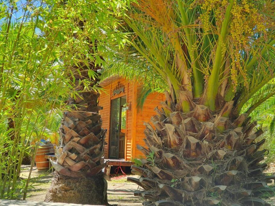 סטלנבוש The Farmhouse B&B מראה חיצוני תמונה